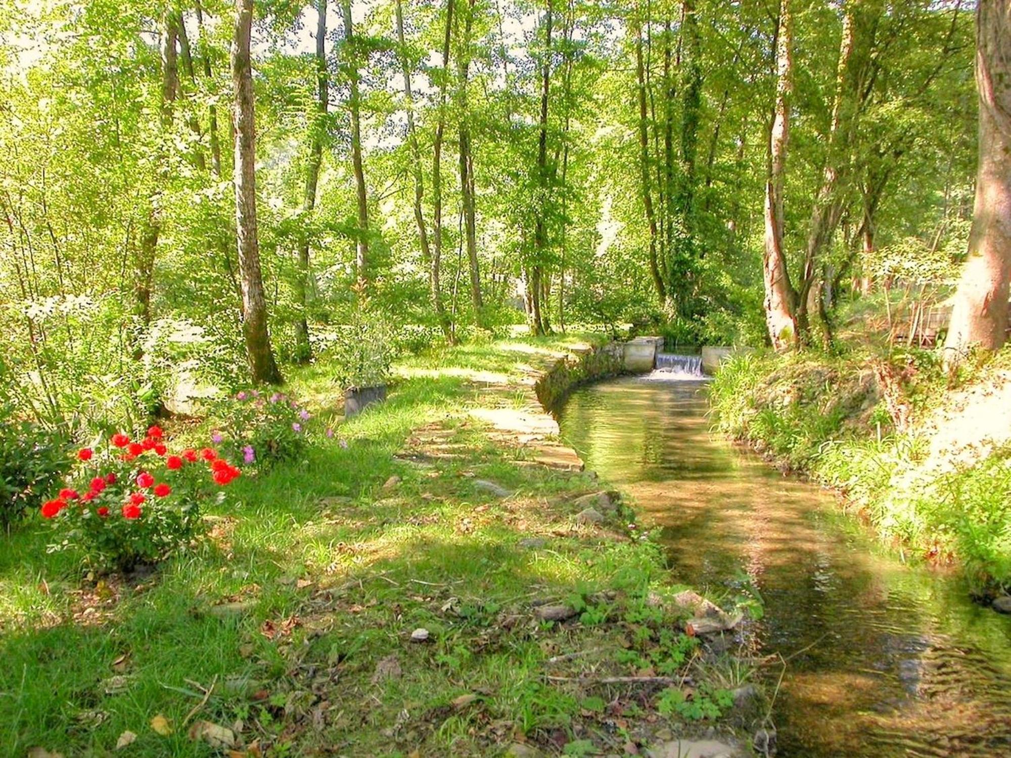 Villa Moulin D'Eysus - Le Moulin Extérieur photo